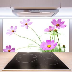 Kuchyňský skleněný panel Květiny Rostlina 120x60 cm