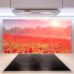 Kuchyňský skleněný panel Louka Květiny Příroda 100x50 cm