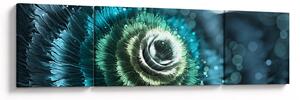 Obraz - Květ v detailu (170x50 cm)