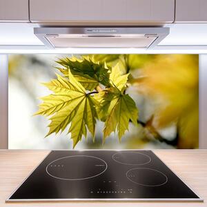 Kuchyňský skleněný panel Listy Rostlina 120x60 cm