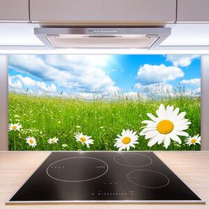 Kuchyňský skleněný panel Sedmikráska Tráva Příroda 100x50 cm