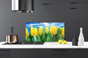 Kuchyňský skleněný panel Tulipány Květiny 100x50 cm