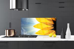 Kuchyňský skleněný panel Plátky Rostlina 100x50 cm