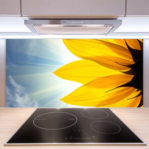 Kuchyňský skleněný panel Plátky Rostlina 140x70 cm