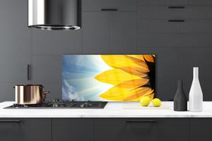Kuchyňský skleněný panel Plátky Rostlina 125x50 cm