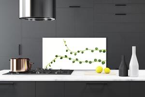 Kuchyňský skleněný panel Dekorativní Rostlina 125x50 cm