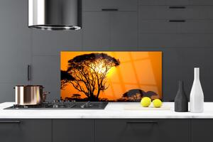 Kuchyňský skleněný panel Strom Slunce Příroda 120x60 cm