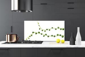 Kuchyňský skleněný panel Dekorativní Rostlina 125x50 cm