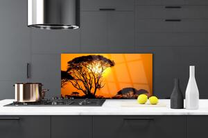 Kuchyňský skleněný panel Strom Slunce Příroda 125x50 cm