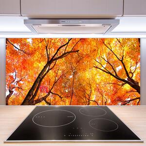 Kuchyňský skleněný panel Stromy Příroda 120x60 cm