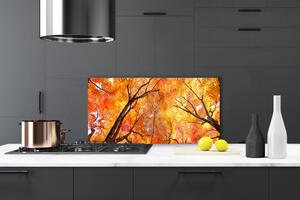 Kuchyňský skleněný panel Stromy Příroda 120x60 cm
