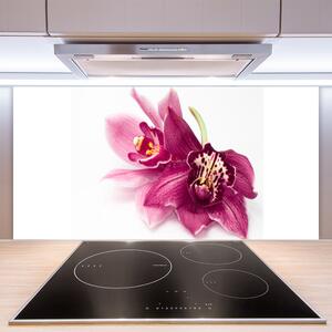Skleněné obklady do kuchyně Květiny Rostlina Příroda 120x60 cm