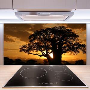Kuchyňský skleněný panel Strom Příroda 100x50 cm