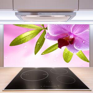 Kuchyňský skleněný panel Květ Listy Rostlina 120x60 cm