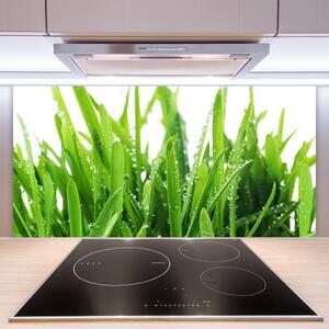 Kuchyňský skleněný panel Tráva Rostlina 100x50 cm