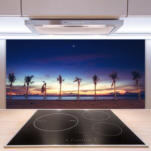 Kuchyňský skleněný panel Palma Strom Moře Krajina 140x70 cm