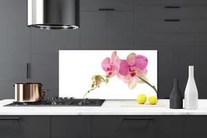 Kuchyňský skleněný panel Květiny Rostlina 125x50 cm