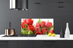 Kuchyňský skleněný panel Tulipány Květiny Rostlina 120x60 cm