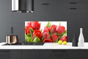Kuchyňský skleněný panel Tulipány Květiny Rostlina 125x50 cm