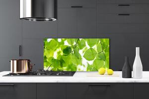 Kuchyňský skleněný panel Listy Příroda Rostlina 125x50 cm