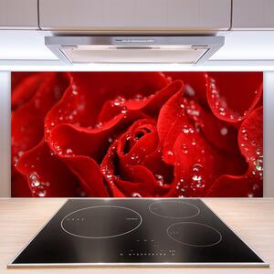 Kuchyňský skleněný panel Růže Květ Rostlina 140x70 cm