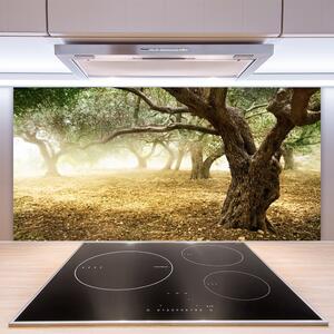 Kuchyňský skleněný panel Strom Tráva Příroda 125x50 cm