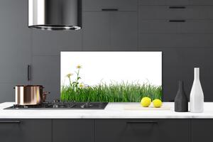 Kuchyňský skleněný panel Plevel Příroda Rostlina 120x60 cm