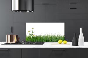 Kuchyňský skleněný panel Plevel Příroda Rostlina 125x50 cm