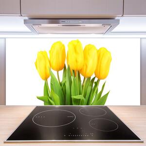 Skleněné obklady do kuchyně Tulipány Květiny Rostlina 120x60 cm