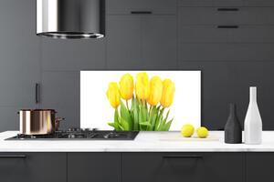 Skleněné obklady do kuchyně Tulipány Květiny Rostlina 100x50 cm