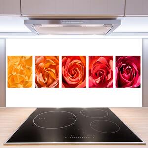 Skleněné obklady do kuchyně Růže Květiny Rostlina 140x70 cm