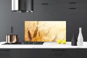 Skleněné obklady do kuchyně Pšenice Rostlina Příroda 125x50 cm