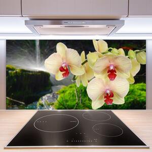 Kuchyňský skleněný panel Stromy Příroda Rostlina 125x50 cm
