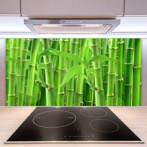 Kuchyňský skleněný panel Bambus Stonek Květ Rostlina 140x70 cm