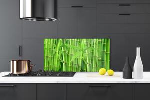 Kuchyňský skleněný panel Bambus Stonek Květ Rostlina 120x60 cm
