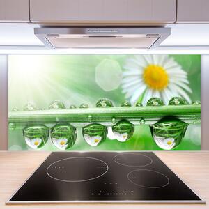 Kuchyňský skleněný panel Rosa List Sedmikrásky Příroda 100x50 cm