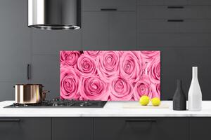 Kuchyňský skleněný panel Růže Květiny Rostlina 140x70 cm
