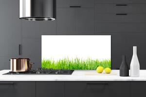 Kuchyňský skleněný panel Tráva Příroda Rostlina 125x50 cm
