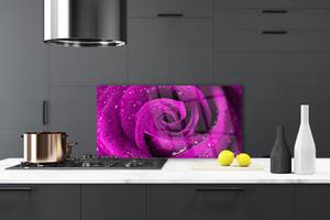 Kuchyňský skleněný panel Růže Květ Rostlina 120x60 cm
