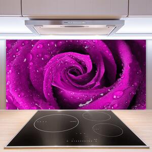 Kuchyňský skleněný panel Růže Květ Rostlina 125x50 cm