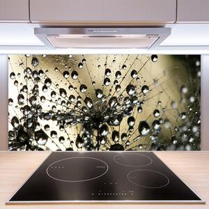Kuchyňský skleněný panel Pampeliška Rostlina 100x50 cm