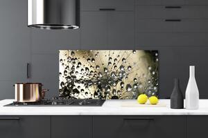 Kuchyňský skleněný panel Pampeliška Rostlina 120x60 cm