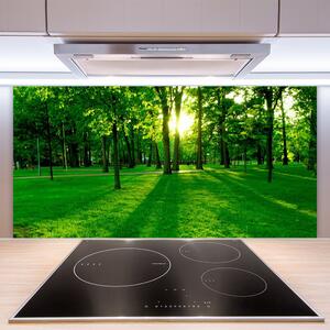 Kuchyňský skleněný panel Les Příroda 120x60 cm