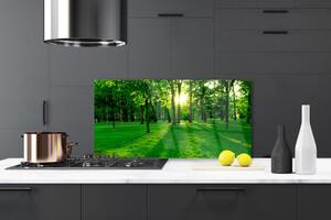 Kuchyňský skleněný panel Les Příroda 125x50 cm