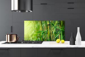 Kuchyňský skleněný panel Bambus Stonky Rostlina 140x70 cm