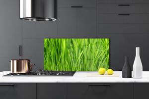 Kuchyňský skleněný panel Tráva Rostlina Příroda 100x50 cm