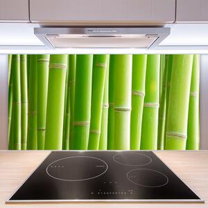 Kuchyňský skleněný panel Bambus Stonek Květ Rostlina 100x50 cm