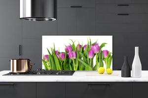 Kuchyňský skleněný panel Tulipány Květiny Rostlina 120x60 cm