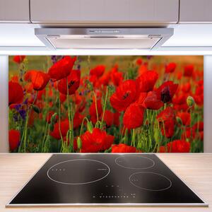 Kuchyňský skleněný panel Máky Rostlina Příroda 125x50 cm