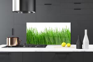 Kuchyňský skleněný panel Tráva Rostlina Příroda 125x50 cm